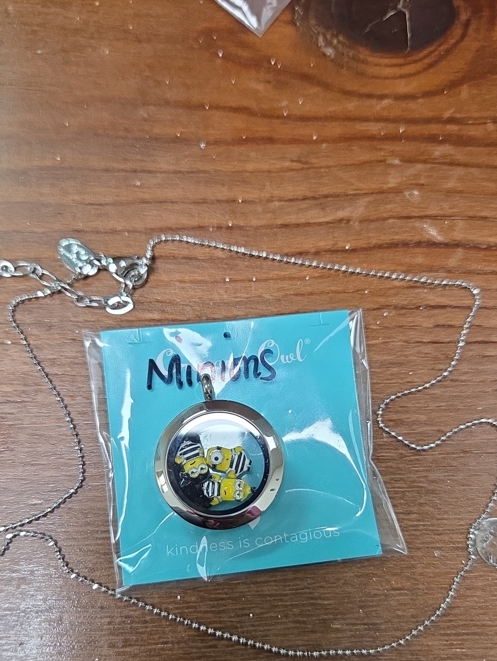 Origami Owl Silver Jail Minions Living Locket